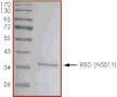 Product Element Image